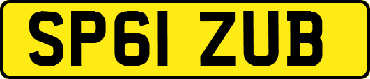 SP61ZUB