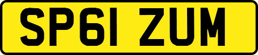 SP61ZUM