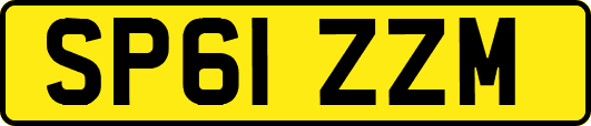 SP61ZZM