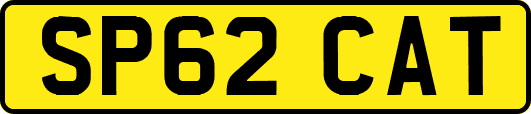 SP62CAT