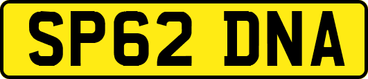 SP62DNA