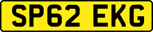 SP62EKG