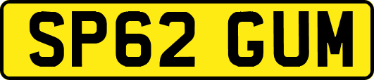 SP62GUM