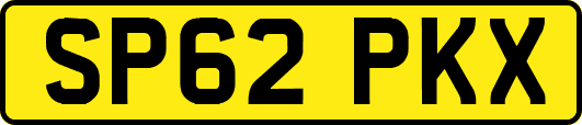 SP62PKX