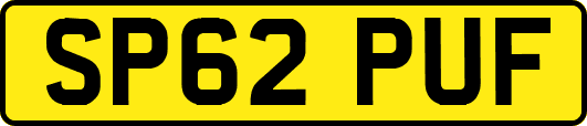 SP62PUF
