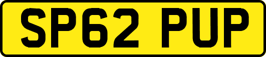 SP62PUP