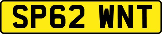 SP62WNT