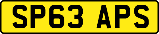 SP63APS