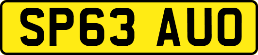 SP63AUO