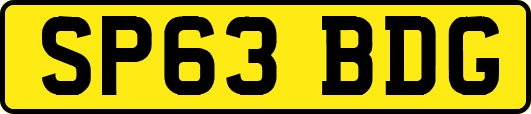 SP63BDG