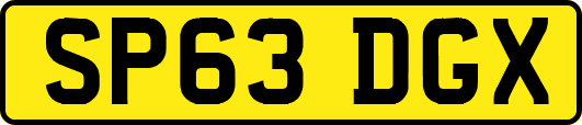 SP63DGX