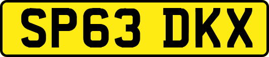 SP63DKX