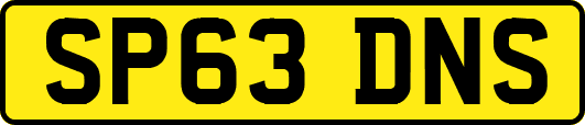 SP63DNS
