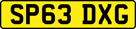 SP63DXG
