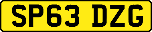 SP63DZG