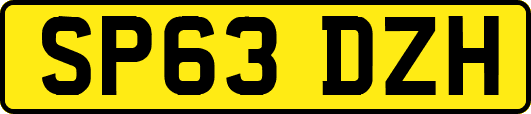 SP63DZH