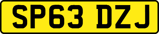 SP63DZJ