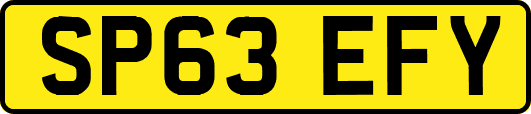SP63EFY