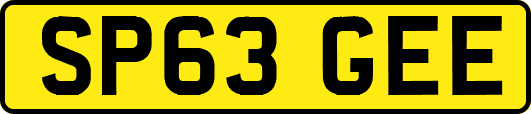 SP63GEE