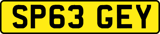 SP63GEY
