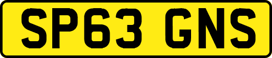 SP63GNS