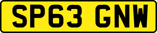 SP63GNW