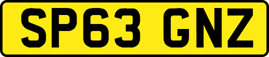 SP63GNZ