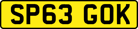 SP63GOK