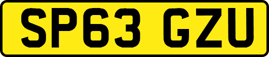 SP63GZU