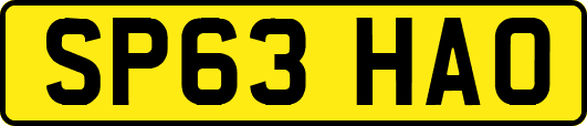 SP63HAO