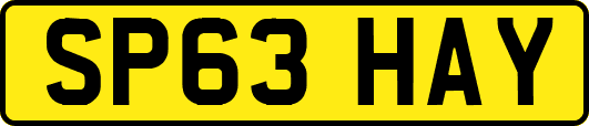 SP63HAY
