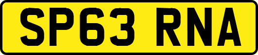 SP63RNA