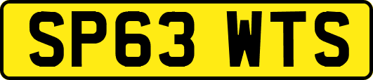SP63WTS