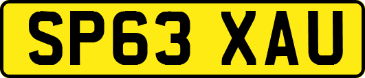SP63XAU