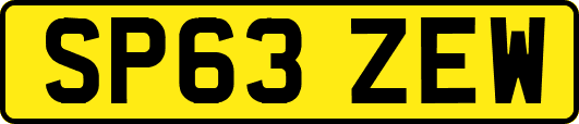 SP63ZEW
