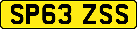SP63ZSS