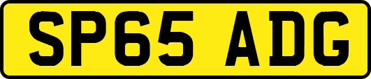 SP65ADG