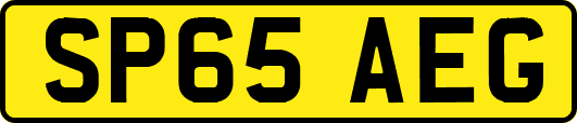 SP65AEG