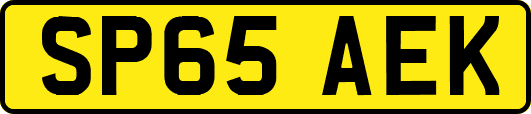 SP65AEK