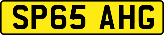 SP65AHG