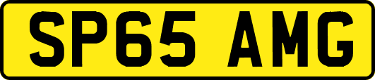 SP65AMG