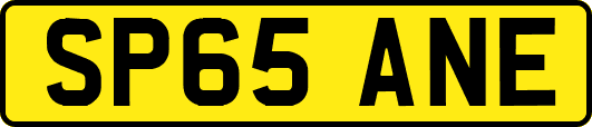 SP65ANE