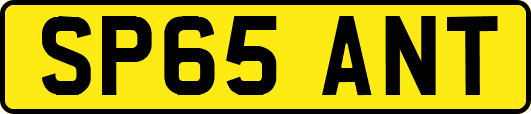 SP65ANT