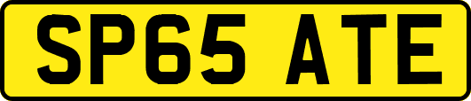SP65ATE