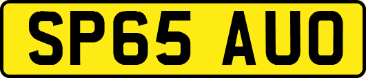 SP65AUO