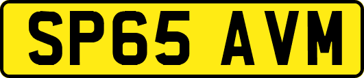 SP65AVM