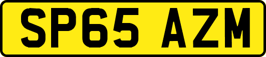 SP65AZM