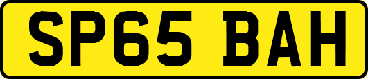 SP65BAH