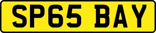 SP65BAY