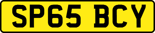 SP65BCY